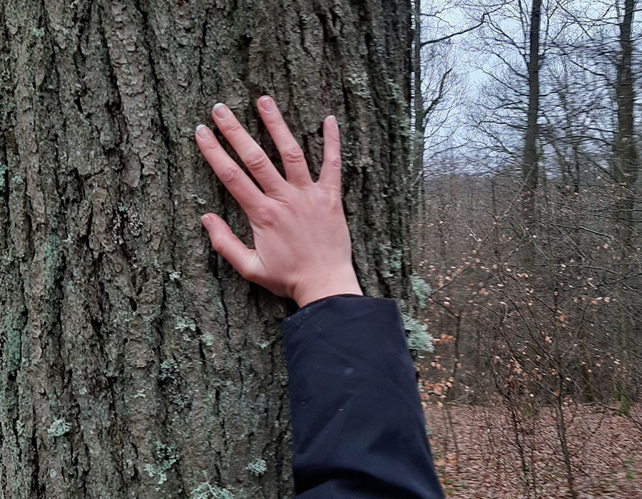 Waldbaden im Hunsrück mit Andrea Hartmann-Lang