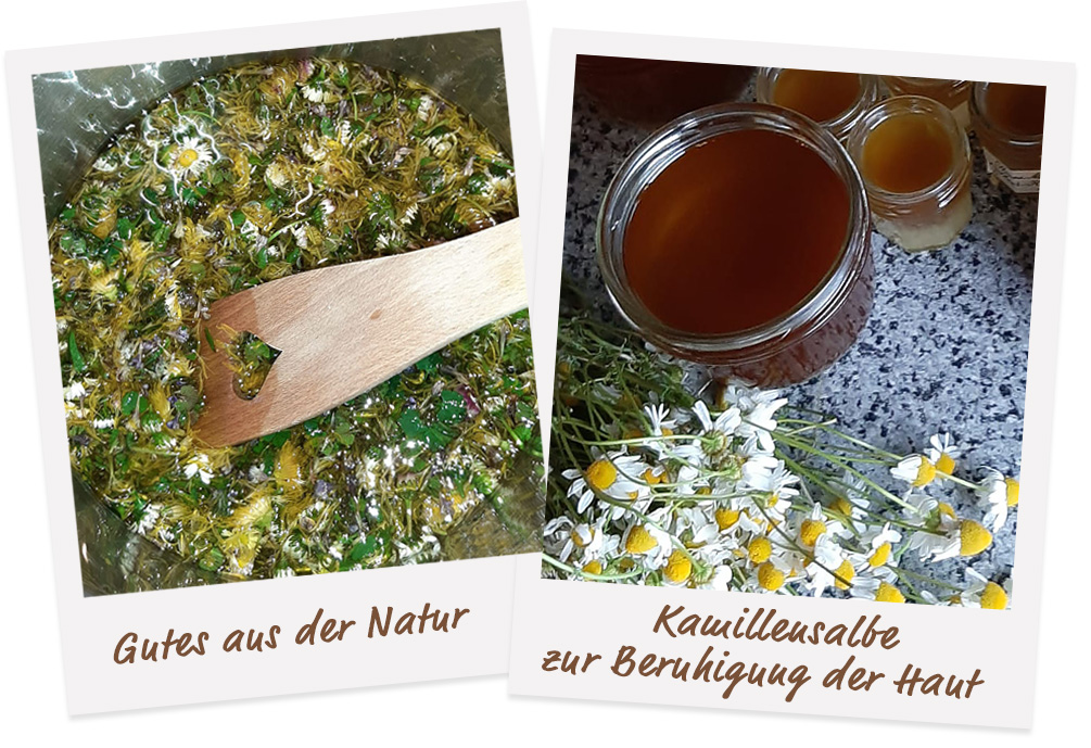 Wildkräuter Workshops im Hunsrück mit Andrea Hartmann-Lang