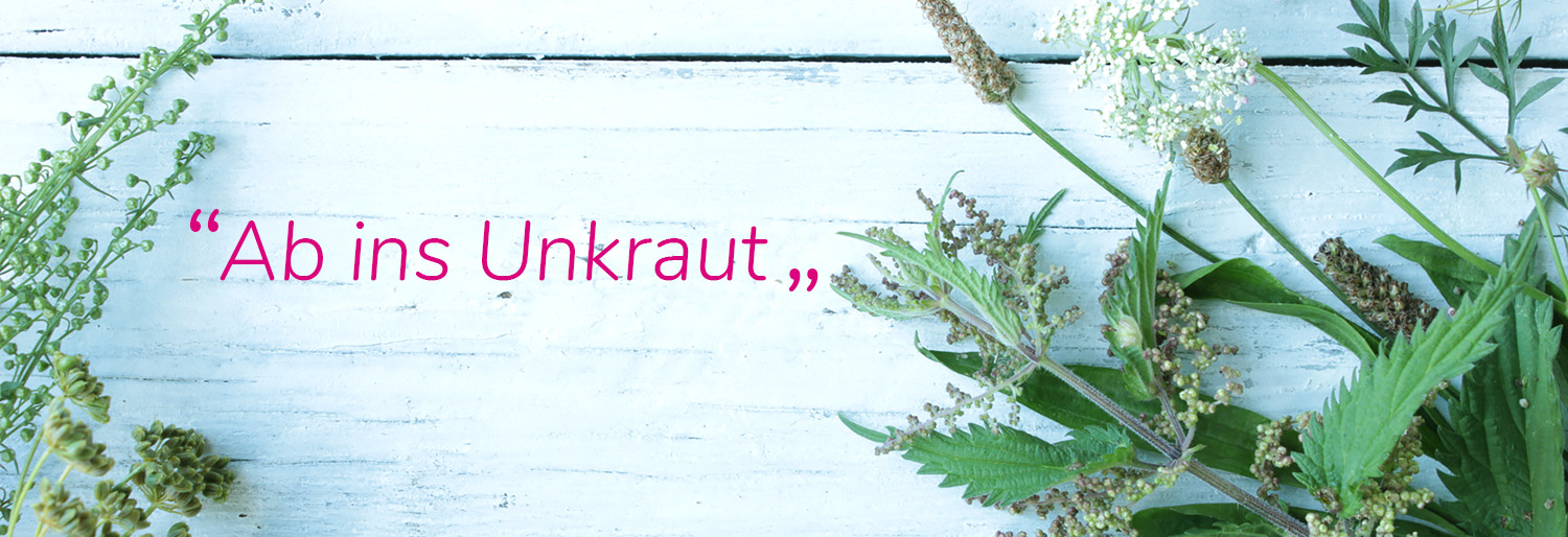 Kräuterwanderungen, Waldführungen und Waldbaden im Hunsrück